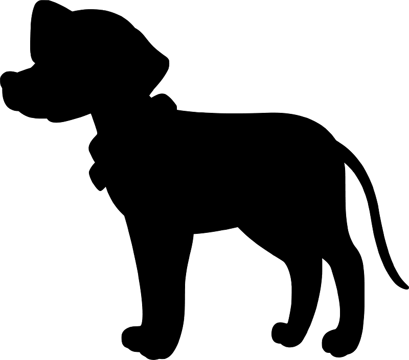 Dalmatian
