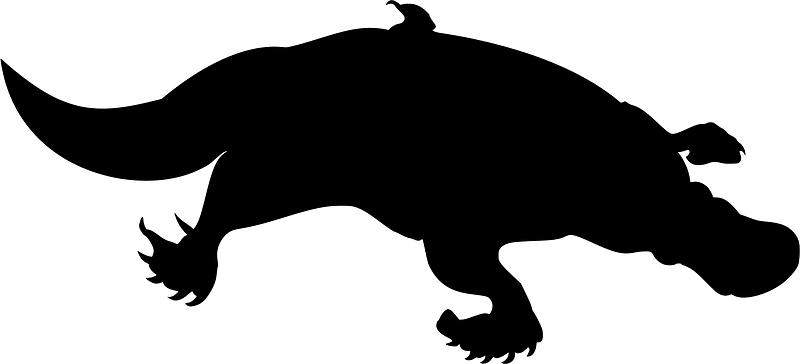 Platypus