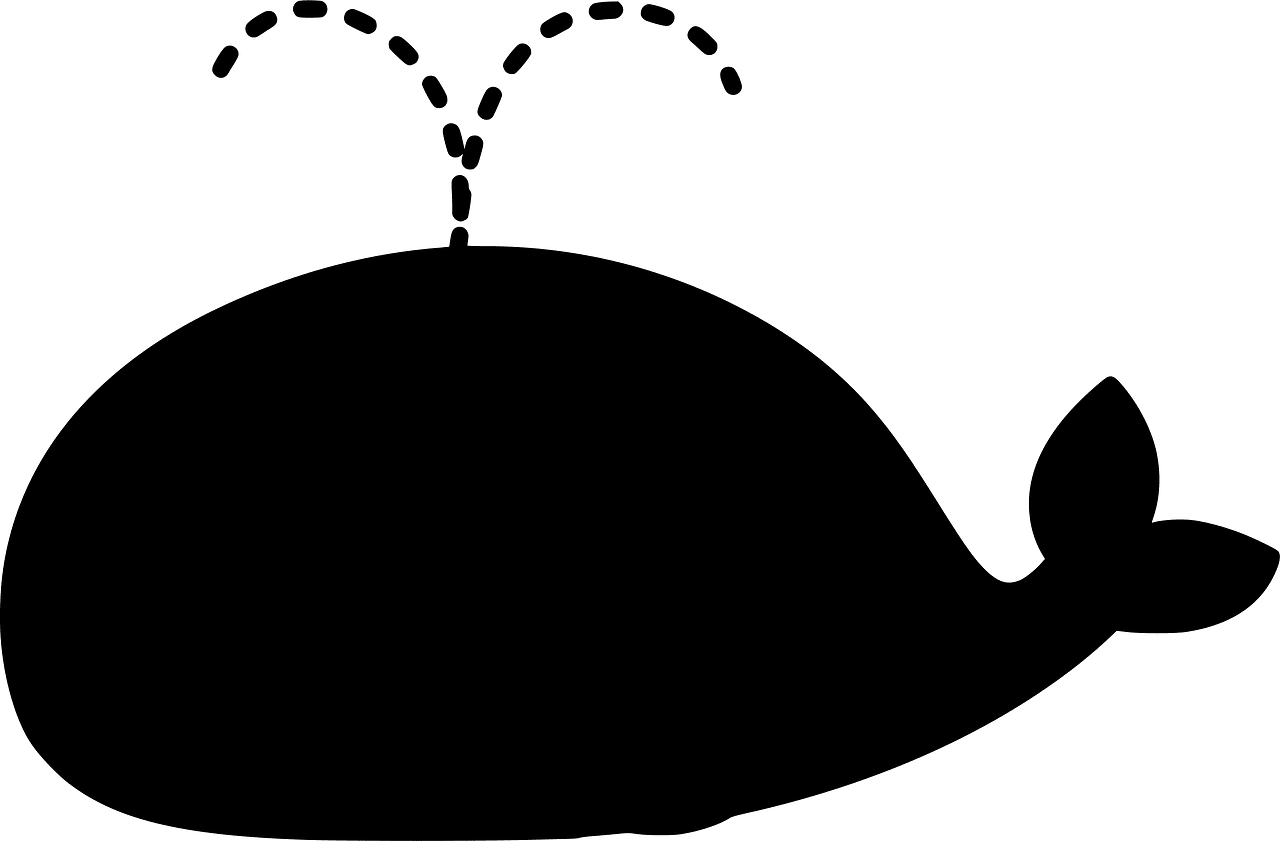 Whale 