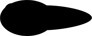 Tadpole