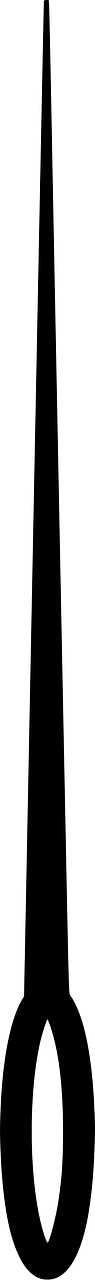 Needle