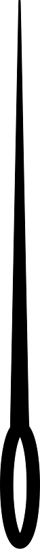 Needle