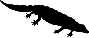 Salamander