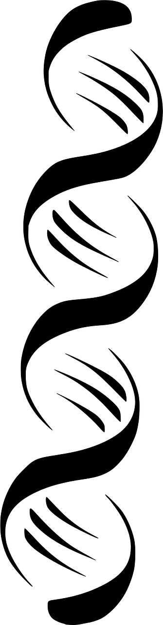 Stylized Dna