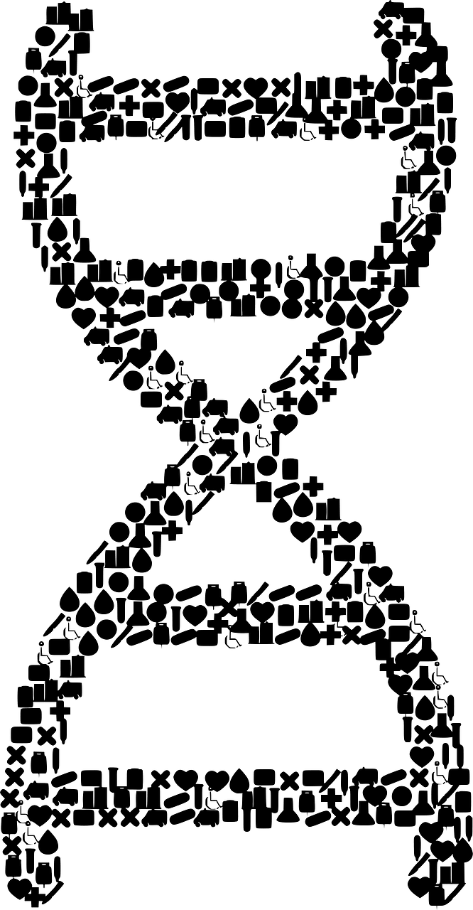 Dna