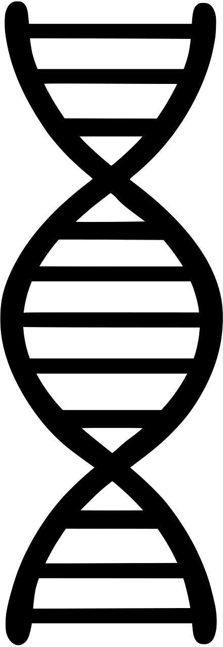 DNA