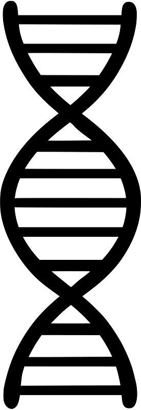 DNA