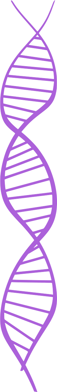 DNA