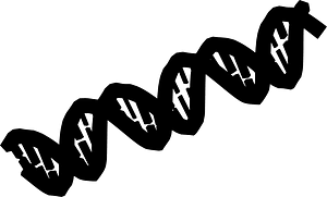 Double-Stranded Dna Sequence