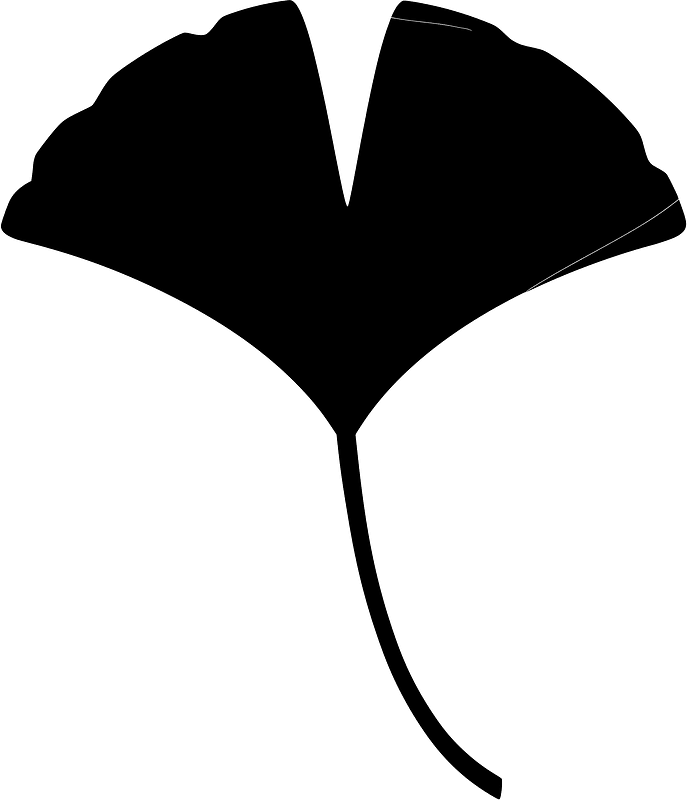 Maple