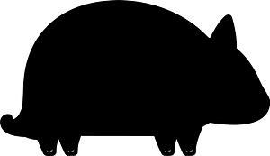 Armadillo