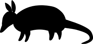 Armadillo