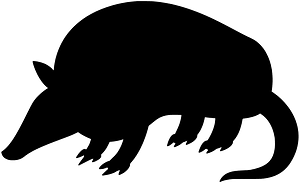 Armadillo