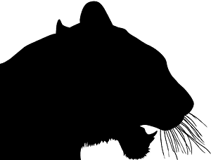 Tiger Head