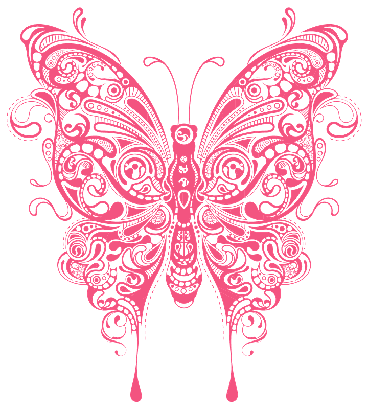 Abstract Butterfly