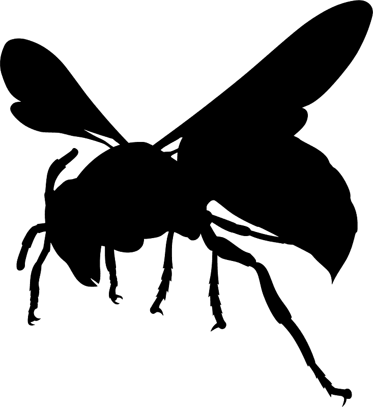 Hornet