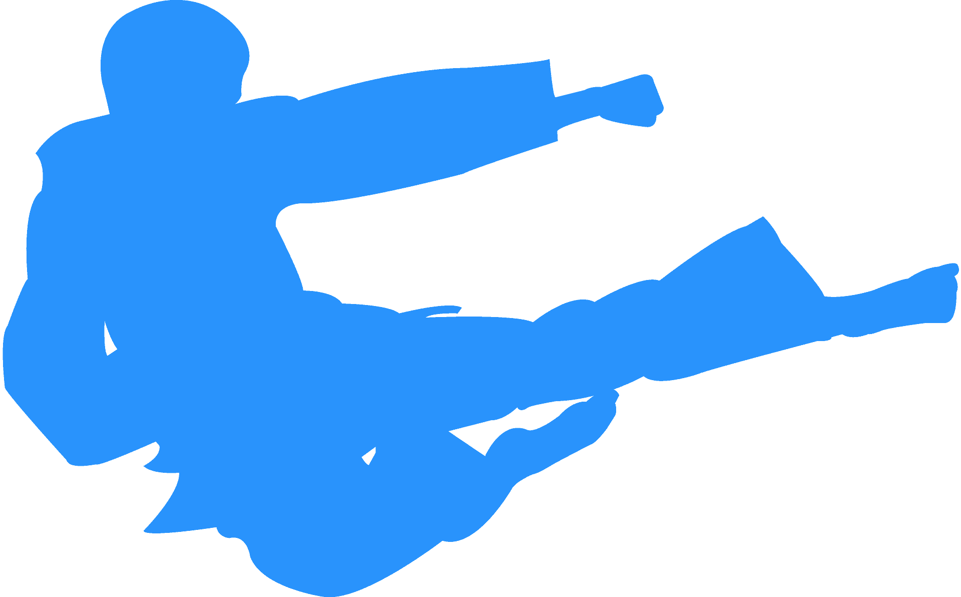 tae-kwon-do-silhouette-2993fc-