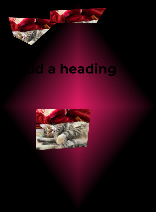 some randon cats ))