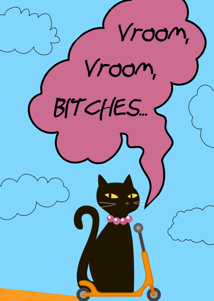 vroom-vroom-bitches-0-lg.png