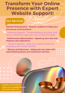 flyer V1