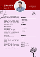 resume-japan-style-0-lg.png