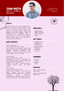 Resume Japan Style