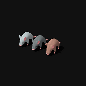 Rat Pack