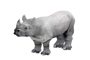 image_processing20210305-12413-13znhii.png