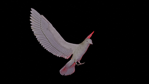 image_processing20210320-9674-w2i6mv.png