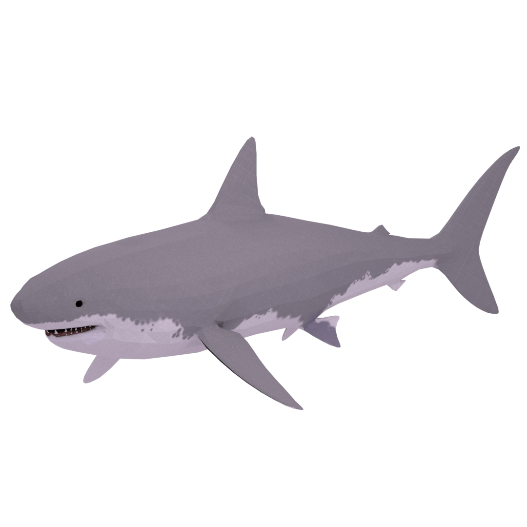 white-shark-3d-model-609-