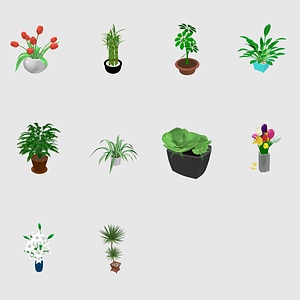 Set of Plants