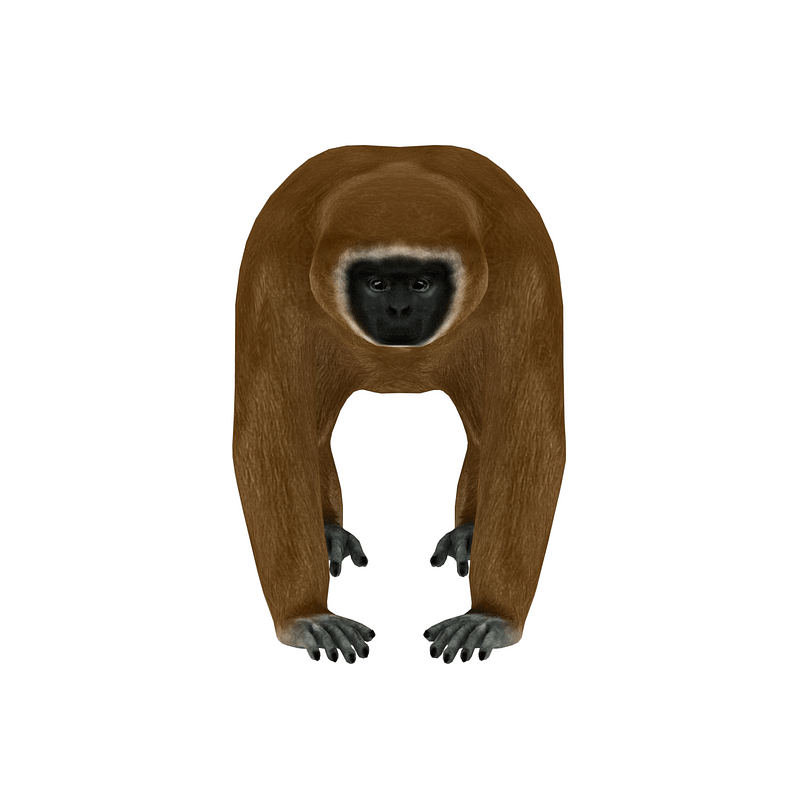 Thumb 7