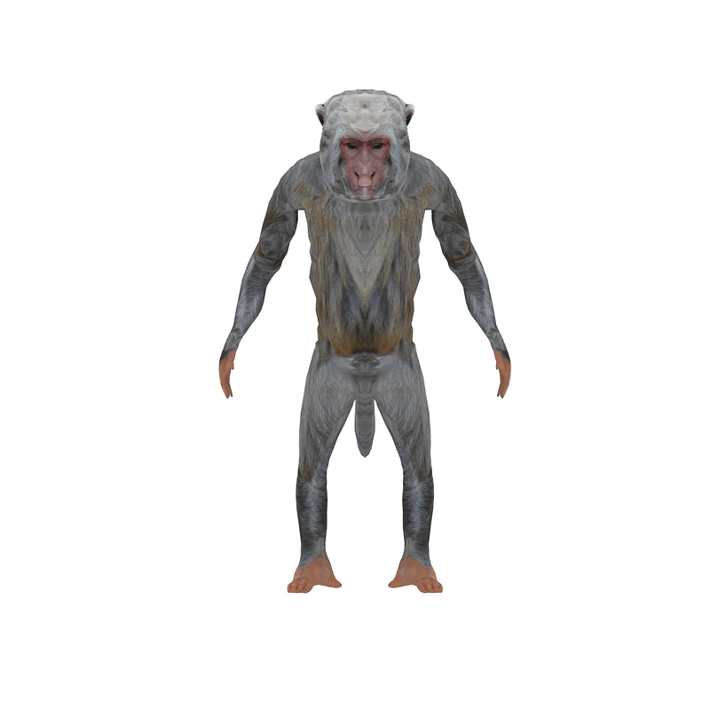 Thumb 7