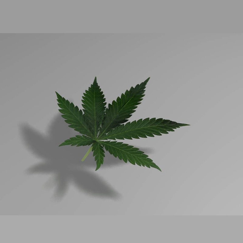 Thumb 9