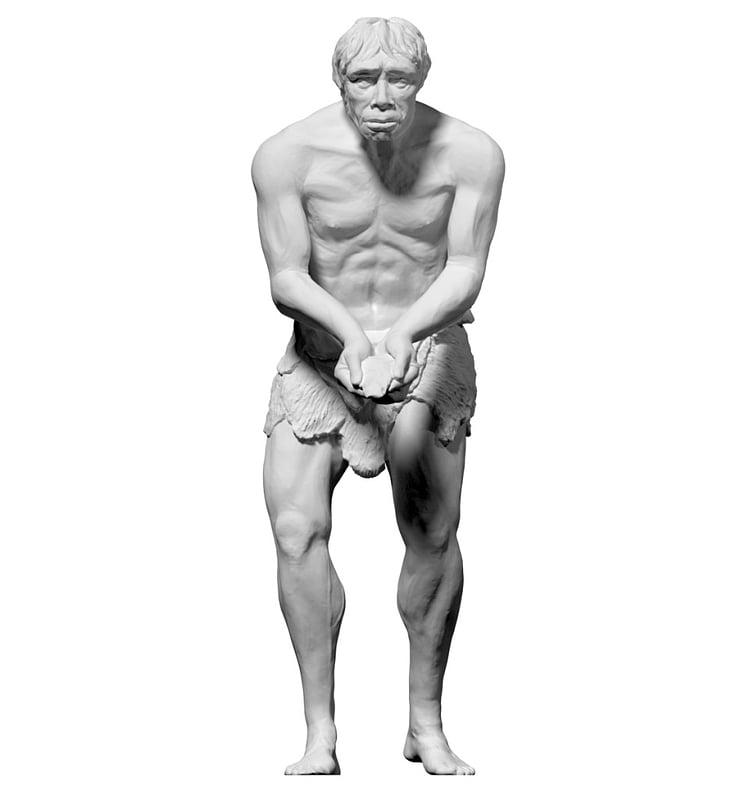 Homo Heidelbergensis