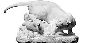 image_processing20200410-24098-1t523sz.png