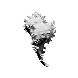 Thumb 7