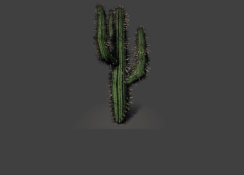Thumb 1