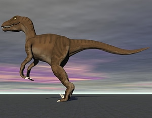 image_processing20200410-18999-x4hio3.jpeg