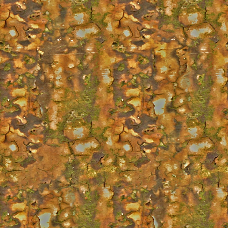 image_processing20200517-26337-q2ztof.jpg