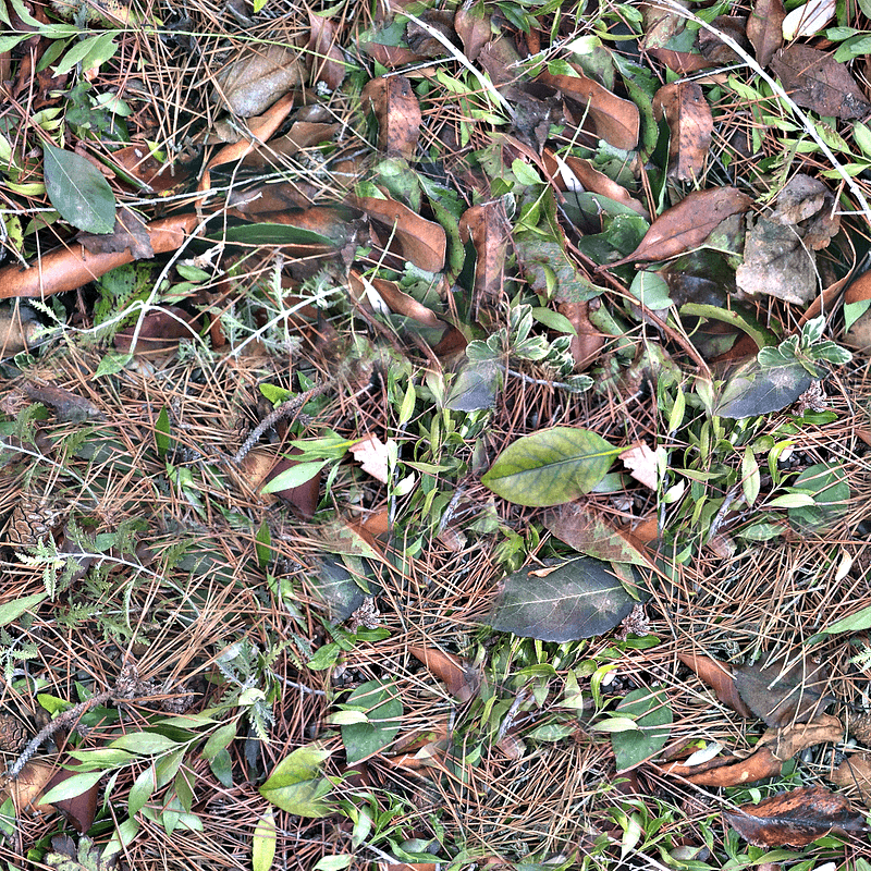 Leaves Twigs Texture