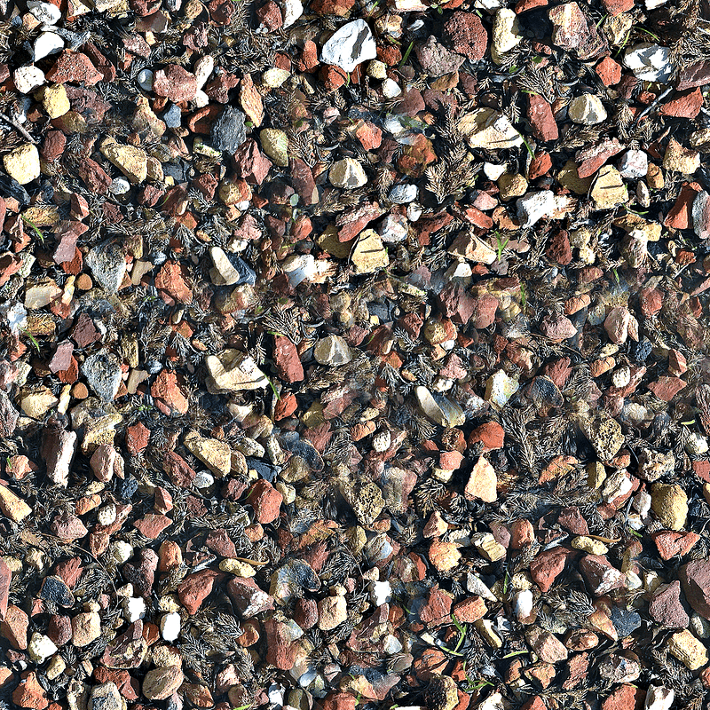 Rock Weeds Texture