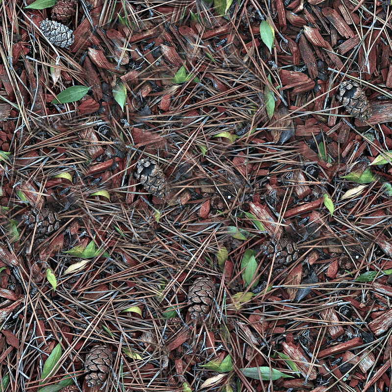 Forest soil with pine needles texture