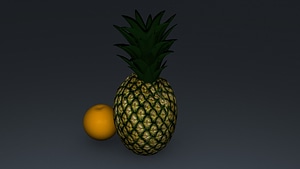 image_processing20200530-7819-1xgiaqx.jpg
