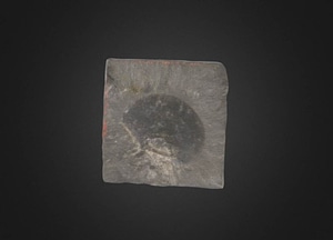 image_processing20200609-24397-rgv2dh.jpeg