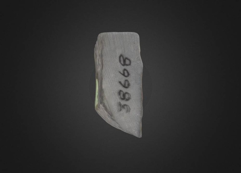 Thumb 11