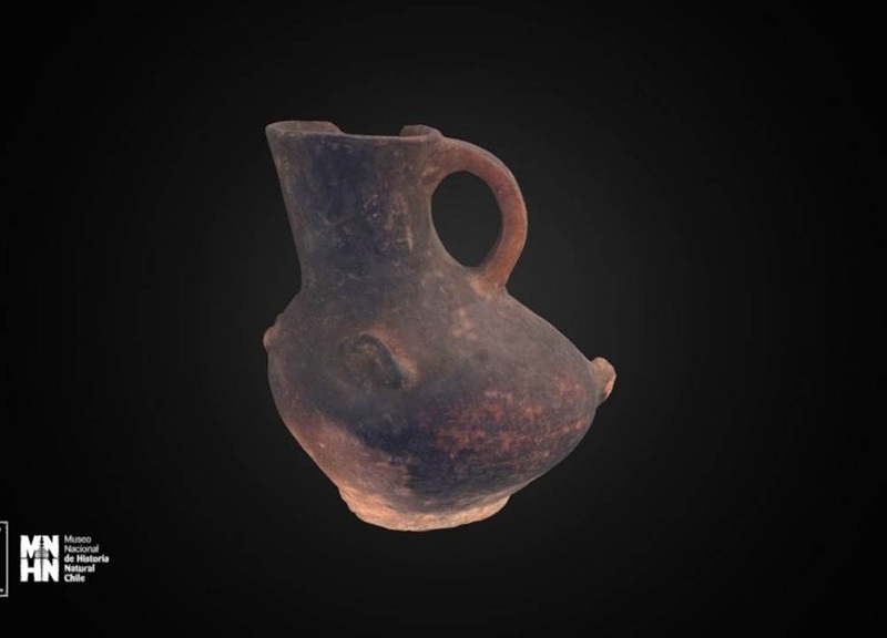 Duck-shaped jug