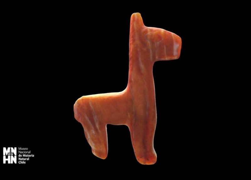 Thumb 8