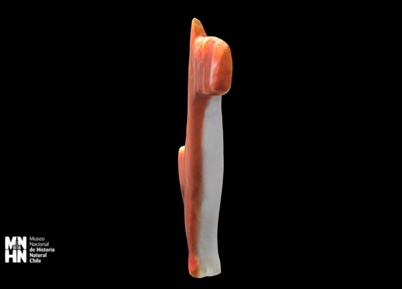 Thumb 11