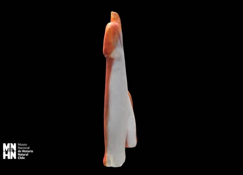 Thumb 12